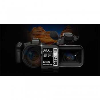 Lexar Professional 1667X SDXC 256GB U3 V60 UHS-II (up to 250MB/s read, 90MB/s write)