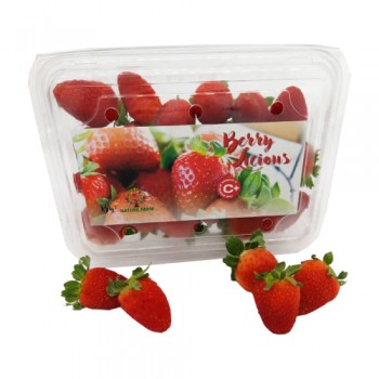 Cameron Highlands Strawberry Premium (250G/PKT)