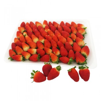 Cameron Highlands Strawberry Premium (500G/PKT)