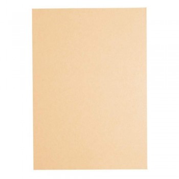 Light Colour A4 80gsm Paper - Peach